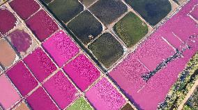 Salt Field in Rongcheng, China