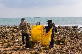 Clean Beaches Keep The Sea Free Of Plastic Waste