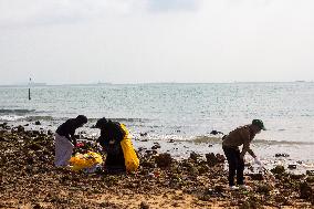 Clean Beaches Keep The Sea Free Of Plastic Waste