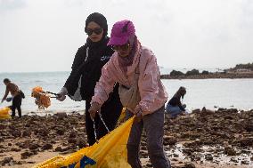 Clean Beaches Keep The Sea Free Of Plastic Waste