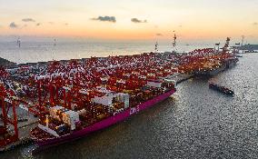 2023 H1 Shanghai Port Container Throughput Growth