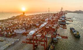 2023 H1 Shanghai Port Container Throughput Growth