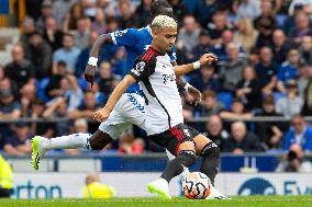 Everton FC v Fulham FC - Premier League