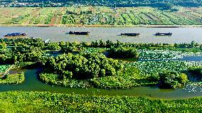 CHINA-SHANDONG-TAIERZHUANG-GRAND CANAL-SCENERY (CN)