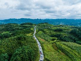 Travel Peak in Bijie, China