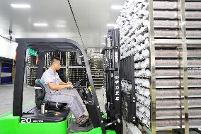 Agricultural Product Processing in Laixi, China