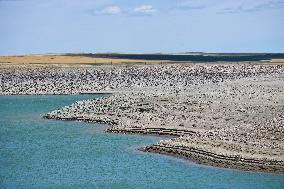 Extreme Drought Conditions Continue In Southern Alberta - Canada