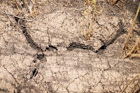 Extreme Drought Conditions Continue In Southern Alberta - Canada