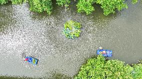 National Ecology Day in Huzhou