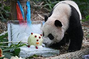 SINGAPORE-GIANT PANDA LE LE-BIRTHDAY