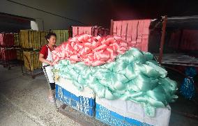 China Manufacturing Industry Cocoon And Silk Industry