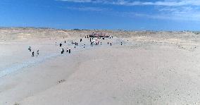 The Sculpture Son of the Earth on The Gobi Beach in Guazhou