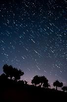 Paths Of Stars And Meteors