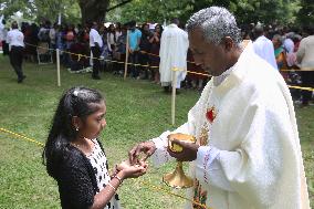 Tamil Catholics Take Part In The Feast Of Our Lady Of Madhu