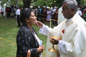 Tamil Catholics Take Part In The Feast Of Our Lady Of Madhu