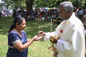 Tamil Catholics Take Part In The Feast Of Our Lady Of Madhu