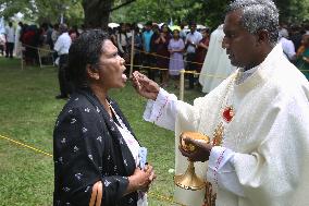 Tamil Catholics Take Part In The Feast Of Our Lady Of Madhu