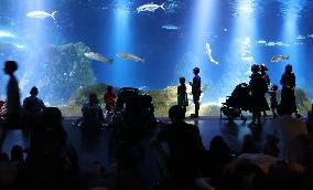 MIDEAST-JERUSALEM-AQUARIUM