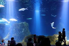 MIDEAST-JERUSALEM-AQUARIUM