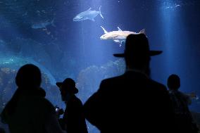 MIDEAST-JERUSALEM-AQUARIUM