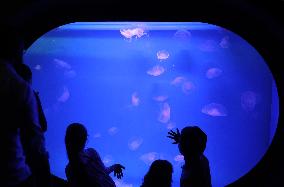 MIDEAST-JERUSALEM-AQUARIUM