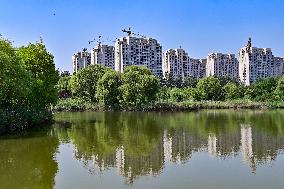 Reduced Investment in Real Estate Development in China