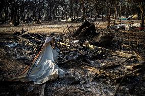 Wildfire In The South Of France