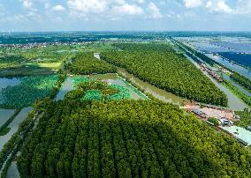 National Ecology Day in Xinghua, China