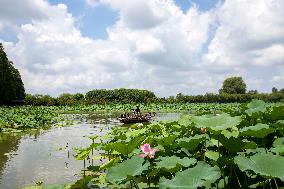 National Ecology Day in Xinghua, China