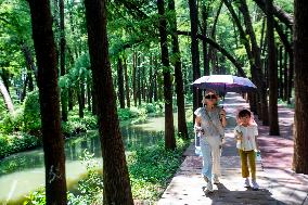 National Ecology Day in Xinghua, China