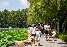 National Ecology Day in Xinghua, China