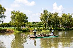 National Ecology Day in Xinghua, China