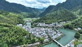 Xinhua Headlines: China celebrates 1st National Ecology Day amid efforts to meet carbon goals