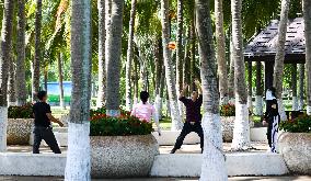 CHINA-HAINAN-HAIKOU-ECOLOGY (CN)