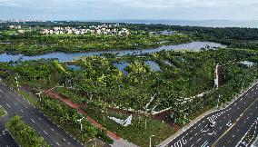 CHINA-HAINAN-HAIKOU-ECOLOGY (CN)