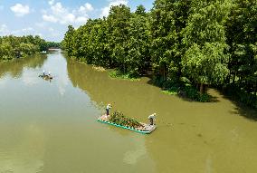 National Ecology Day in Xinghua, China