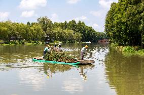 National Ecology Day in Xinghua, China