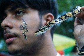 Pet Snake In India