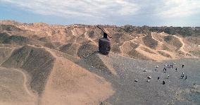 The Emperor in Han Dynasty Outdoor Sculpture in Guazhou