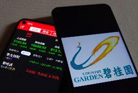 Country Garden Net Loss of 50 Billion Chinese Yuan in H1 2023