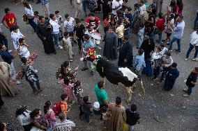 Celebrating The Birth Of The Blessed Virgin Mary In Egypt