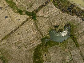 INDONESIA-BEKASI-DROUGHT