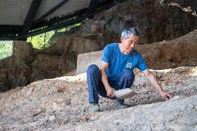 CHINA-CHONGQING-LONGGUPO SITE-5TH-STAGE ARCHAEOLOGICAL EXCAVATION (CN)