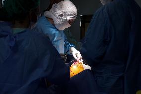 Knee joint replacement surgery in Kyiv