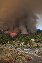 Tenerife Wildfire Prompts Evacuations And Road Closures