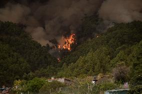 Tenerife Wildfire Prompts Evacuations And Road Closures