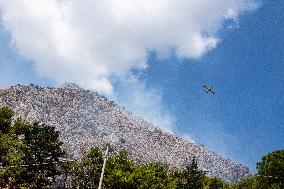 Fire On Monte Pellegrino In Palermo