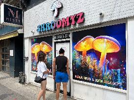 Magic Mushroom Stores Are Opening Illegally Across Canada