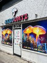 Magic Mushroom Stores Are Opening Illegally Across Canada