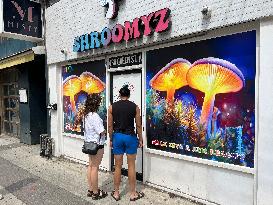 Magic Mushroom Stores Are Opening Illegally Across Canada